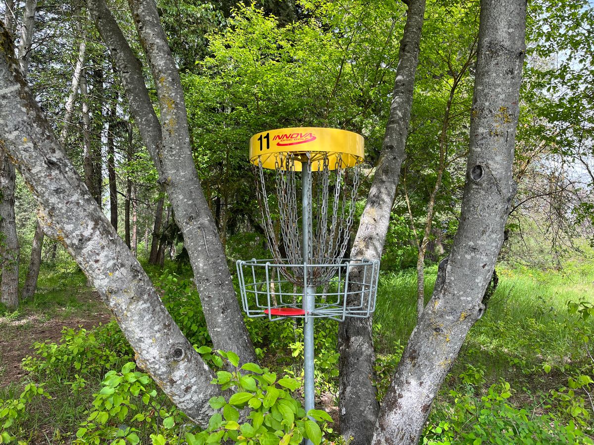 11th basket