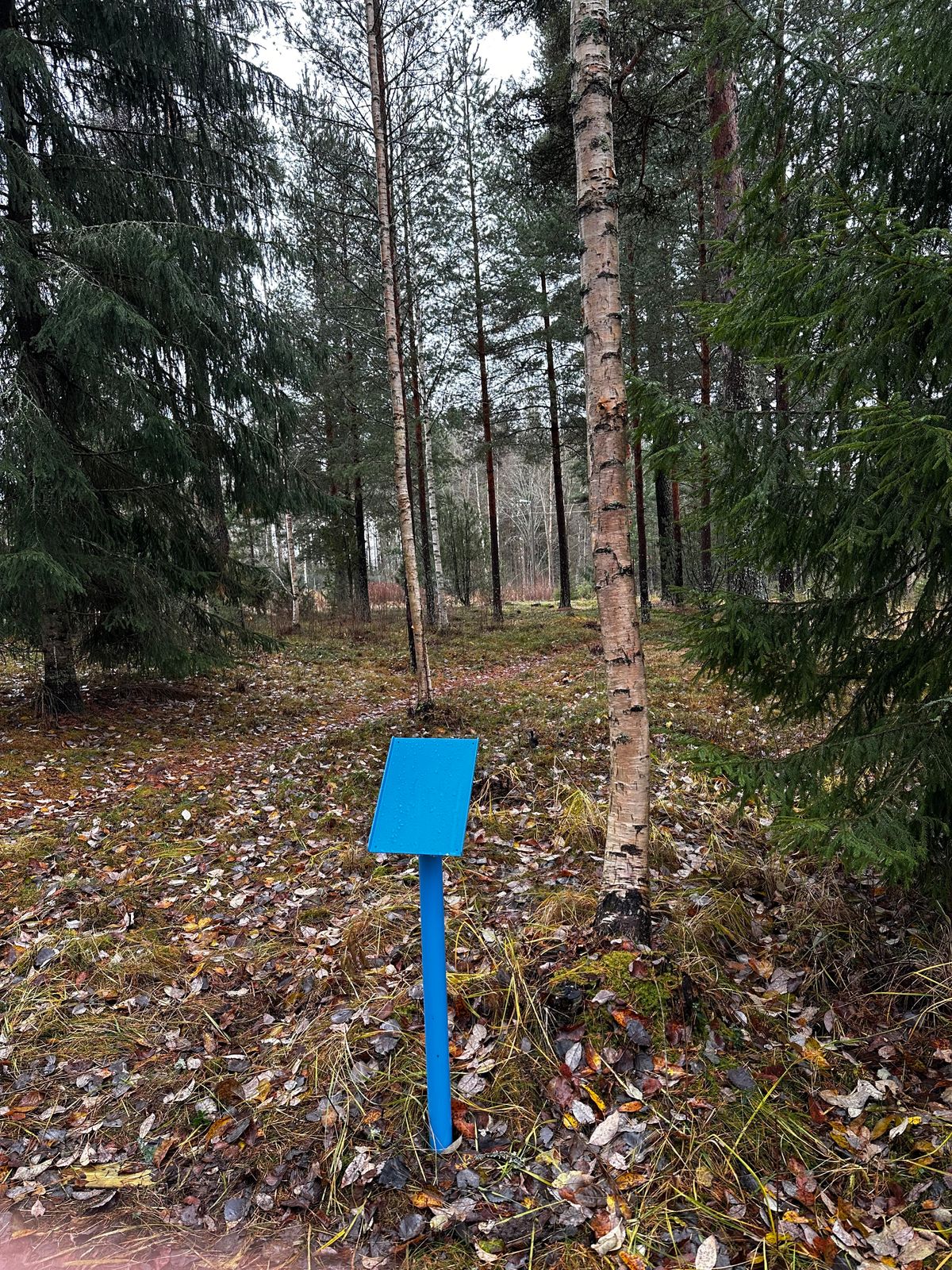 Tee 3