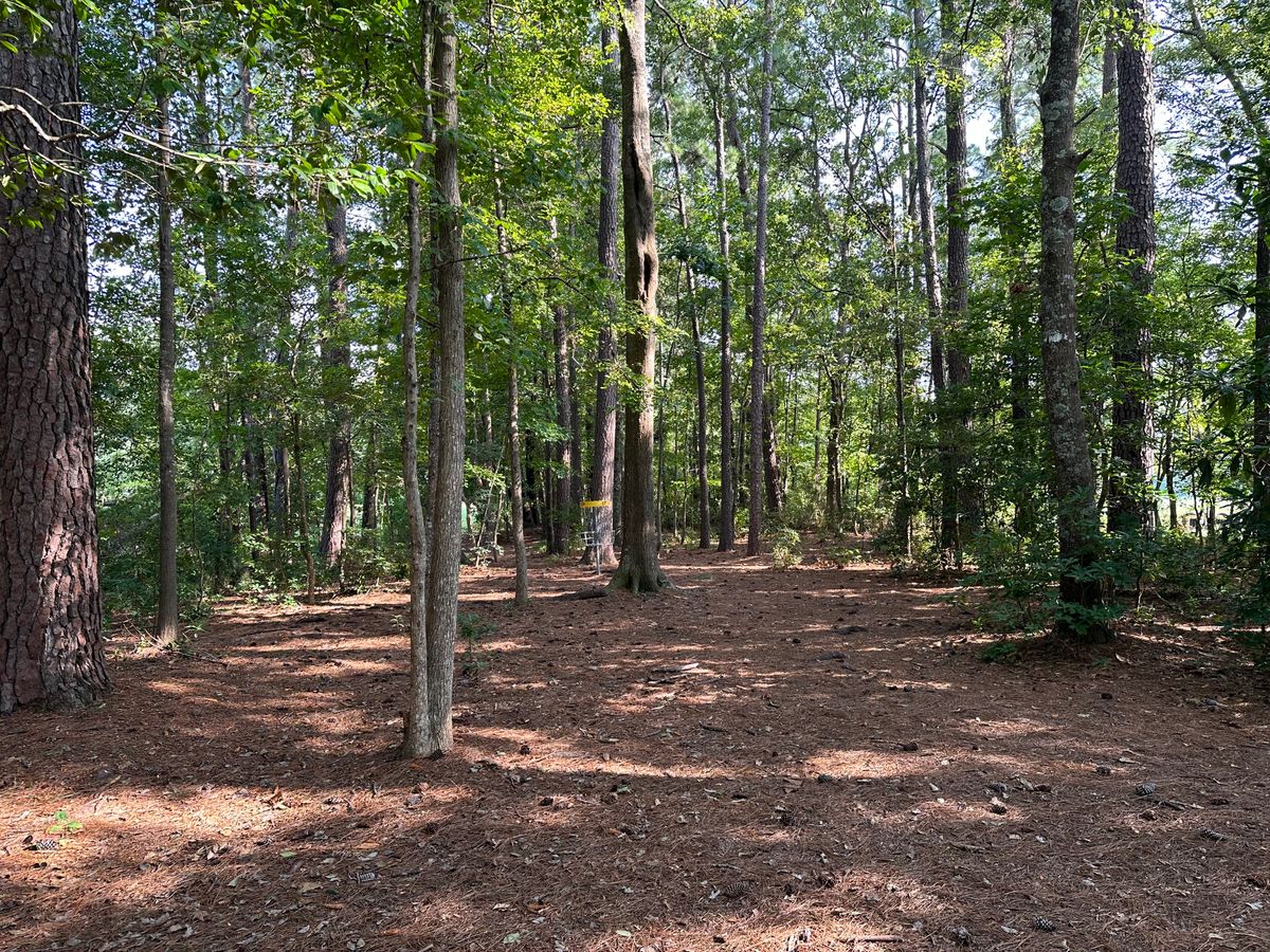 Hole 17 Approach