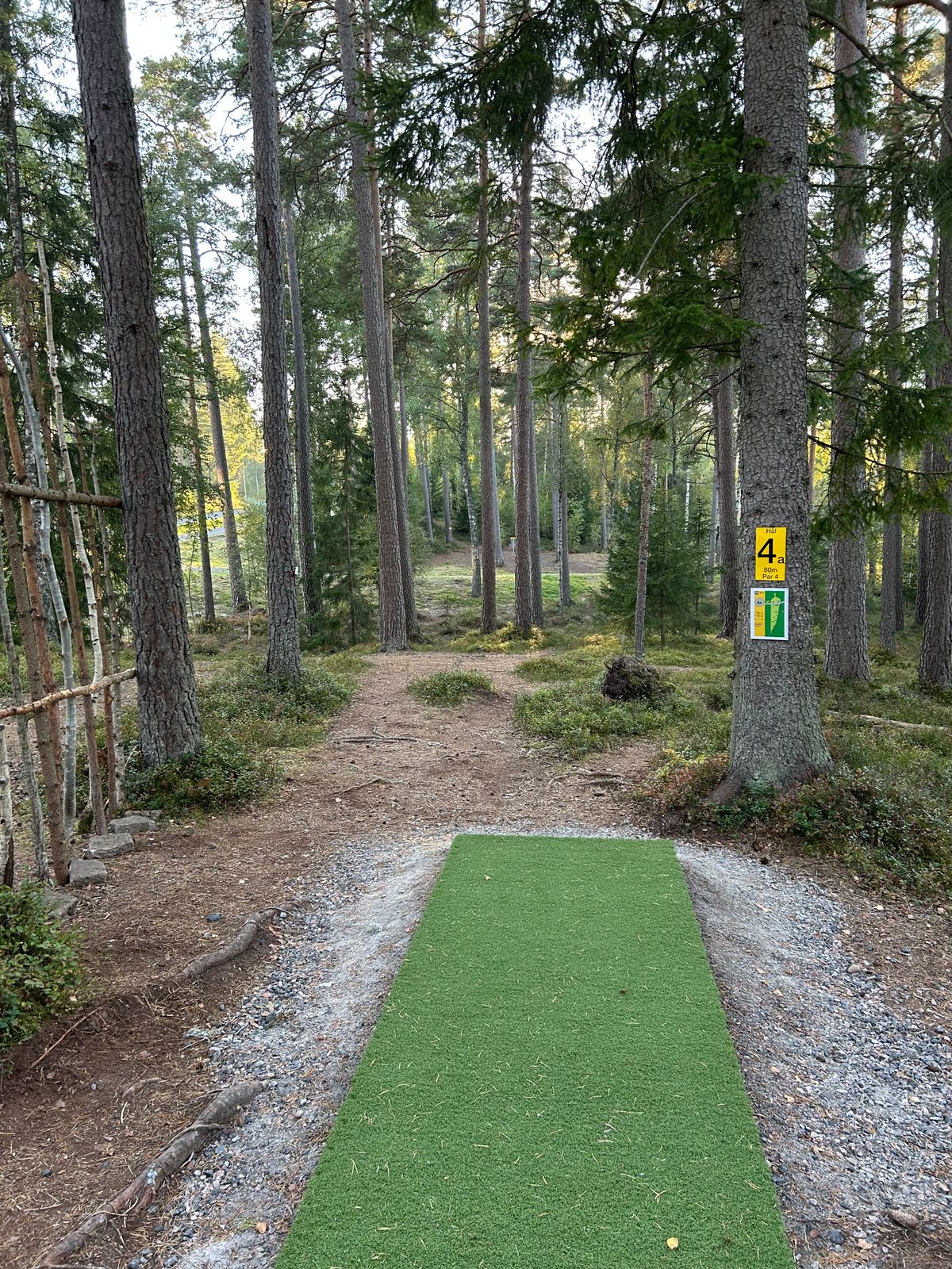 Tee 4A