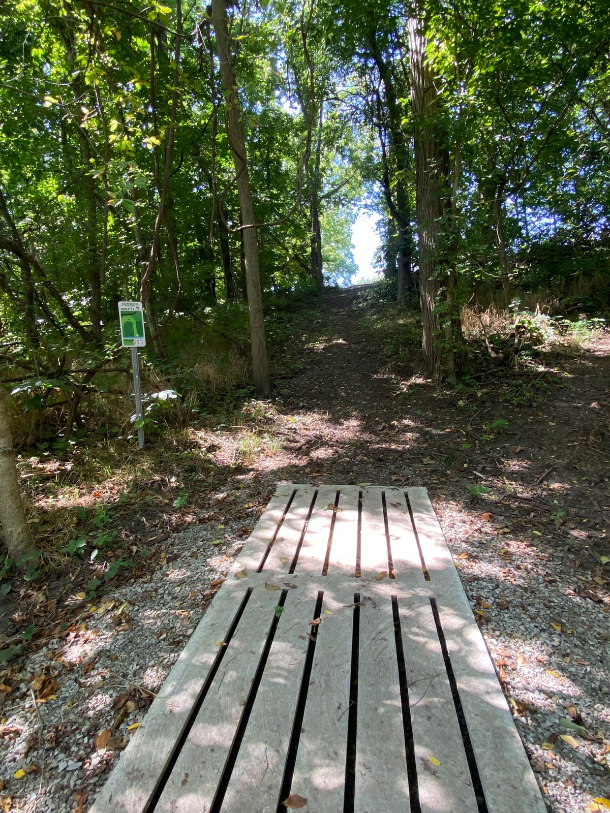 Hole 12 tee pad