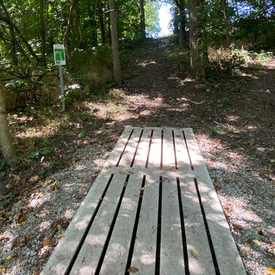 Hole 12 tee pad
