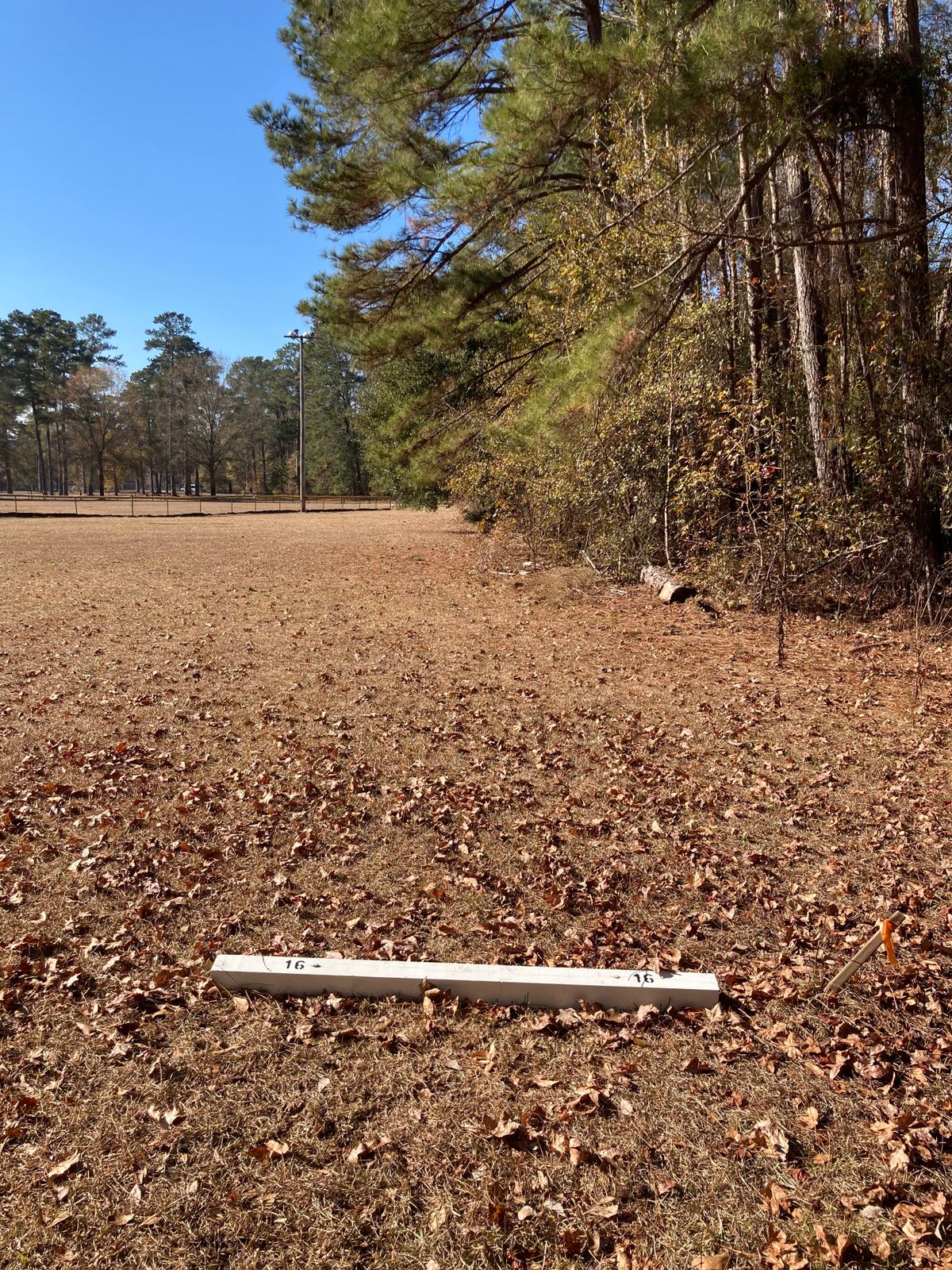 Hole 16, Tee Box, 280’ Left to Right bend.