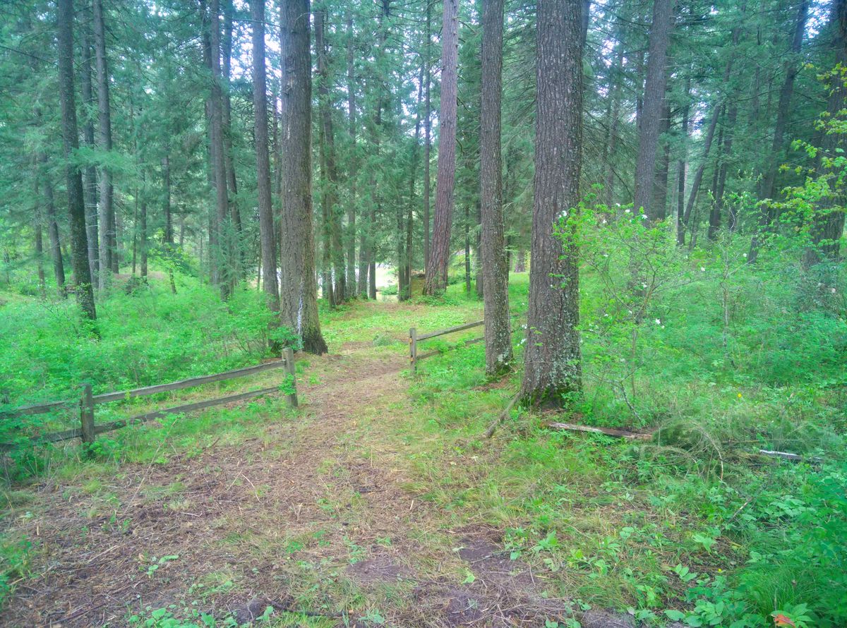 Hole 3