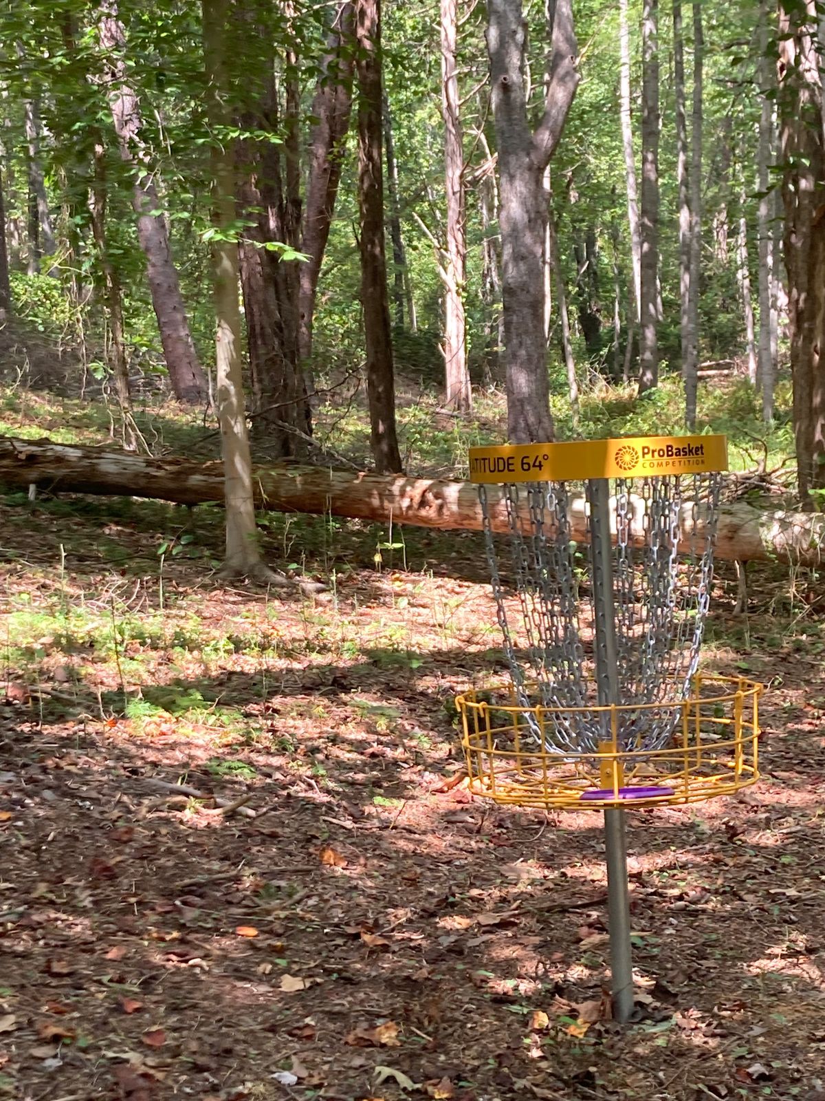 Hole #5: Looking back toward the tee