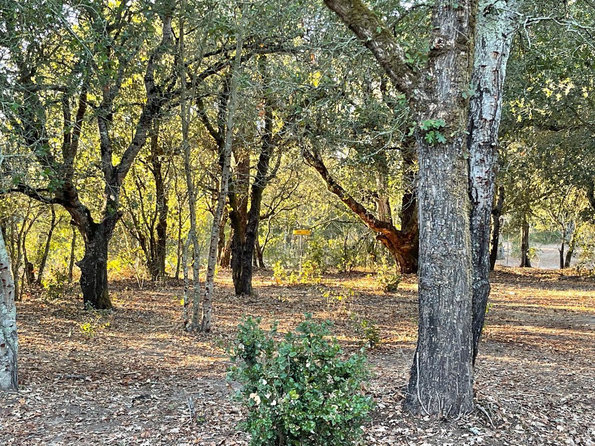 Hole 17