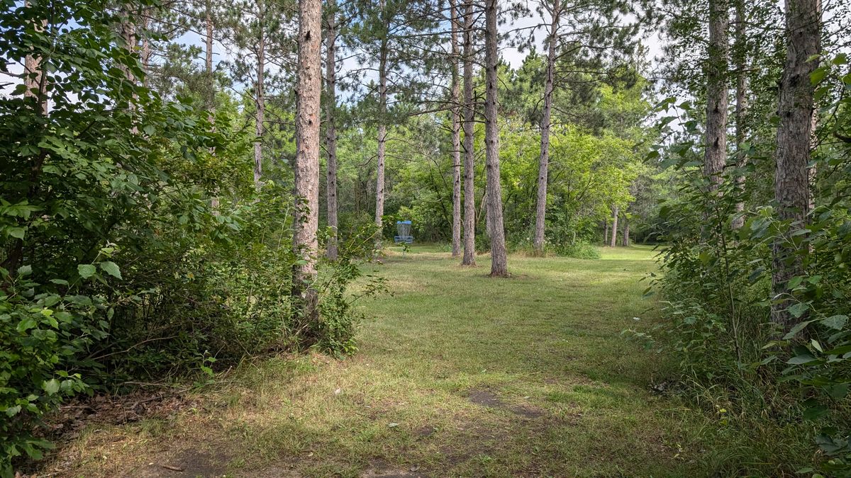 Hole 17, right side opening from past fence