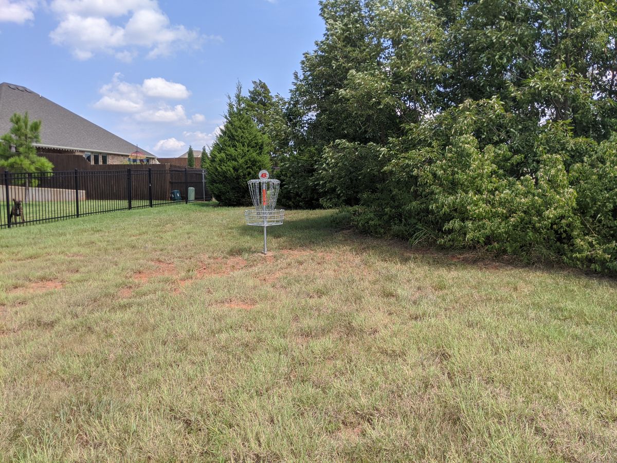 Hole 6 basket