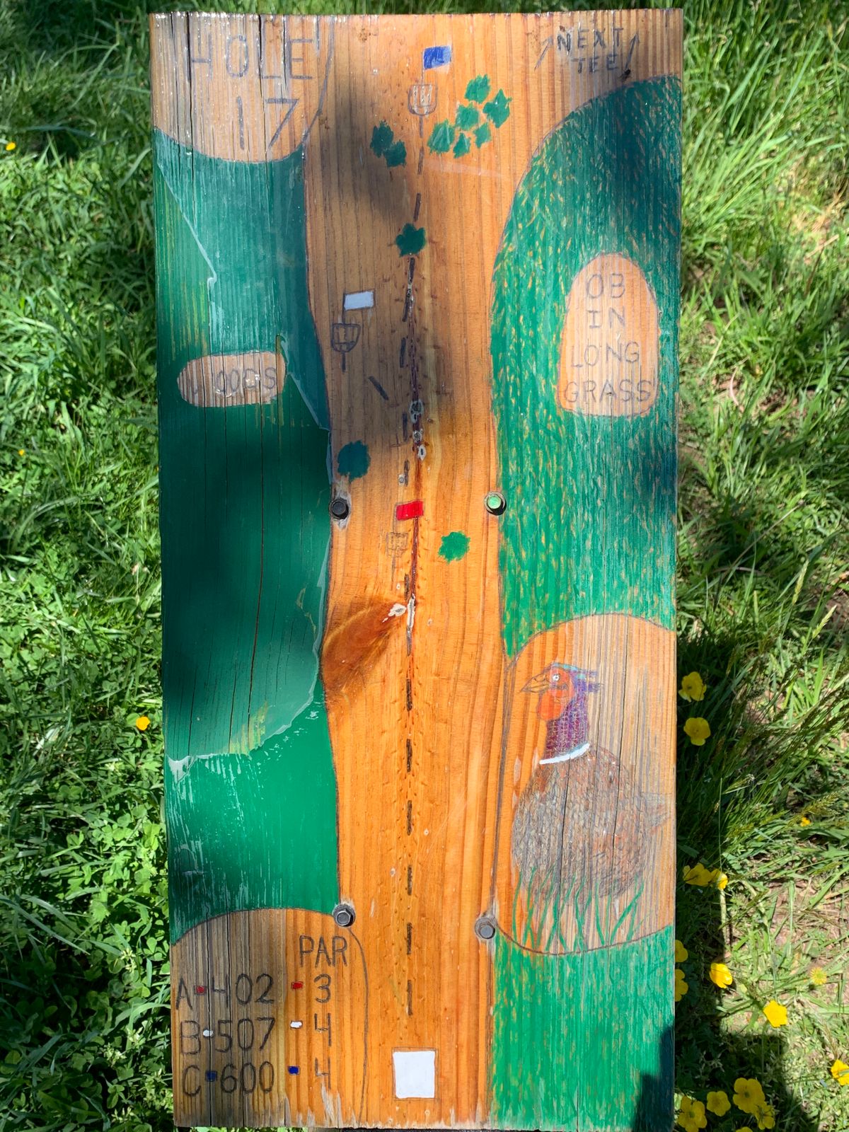 Hole 17 Map