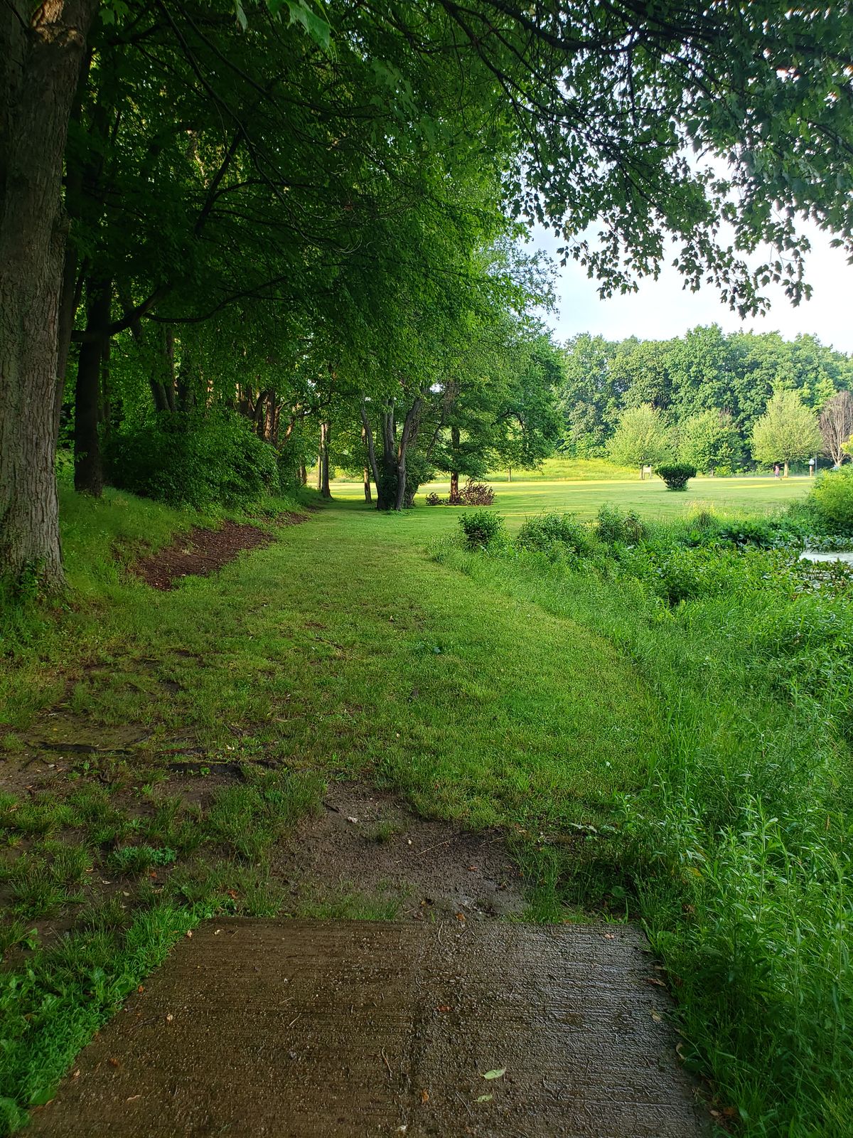 Hole 6 short teepad