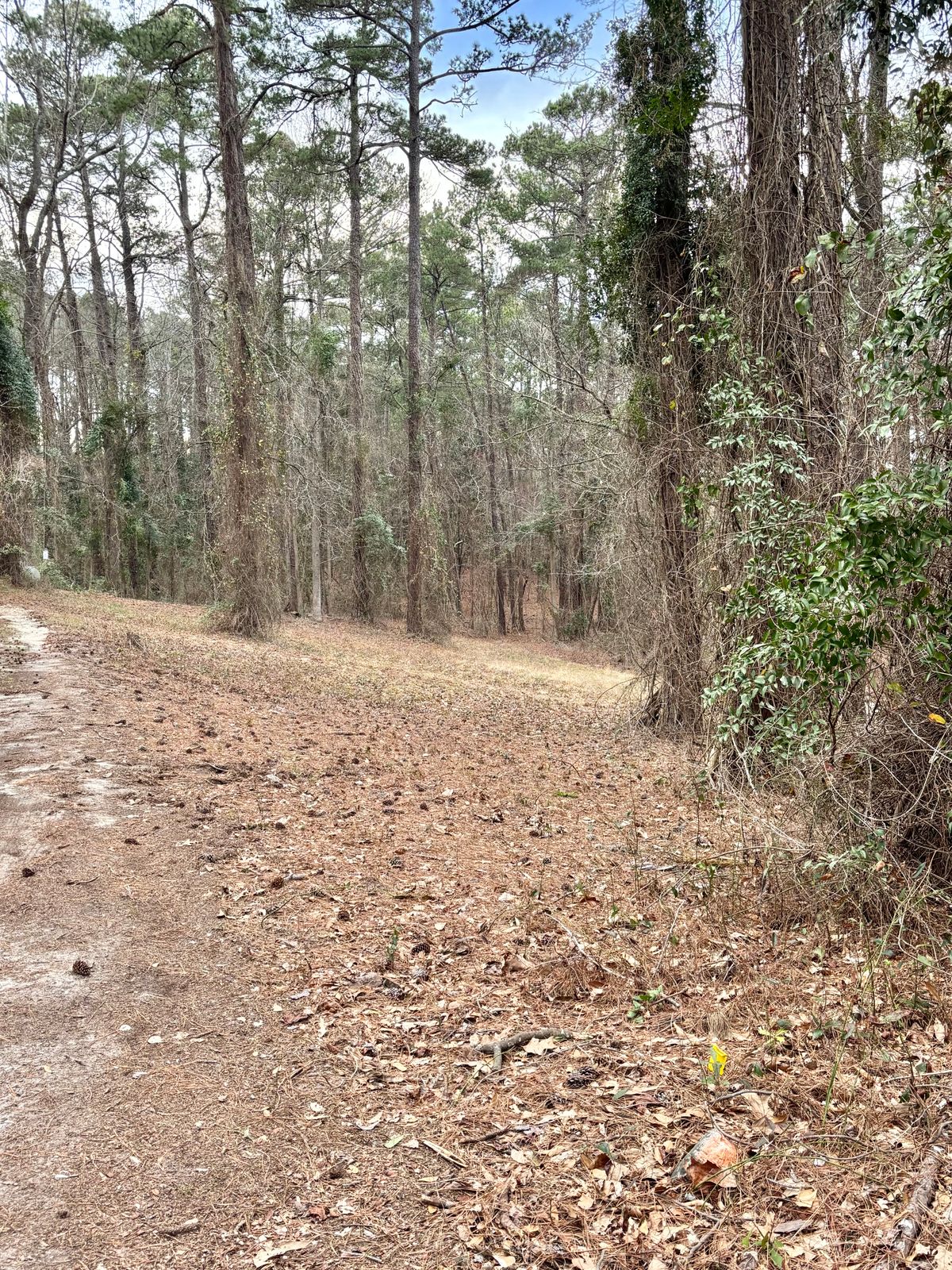 Hole 2 Long Tee