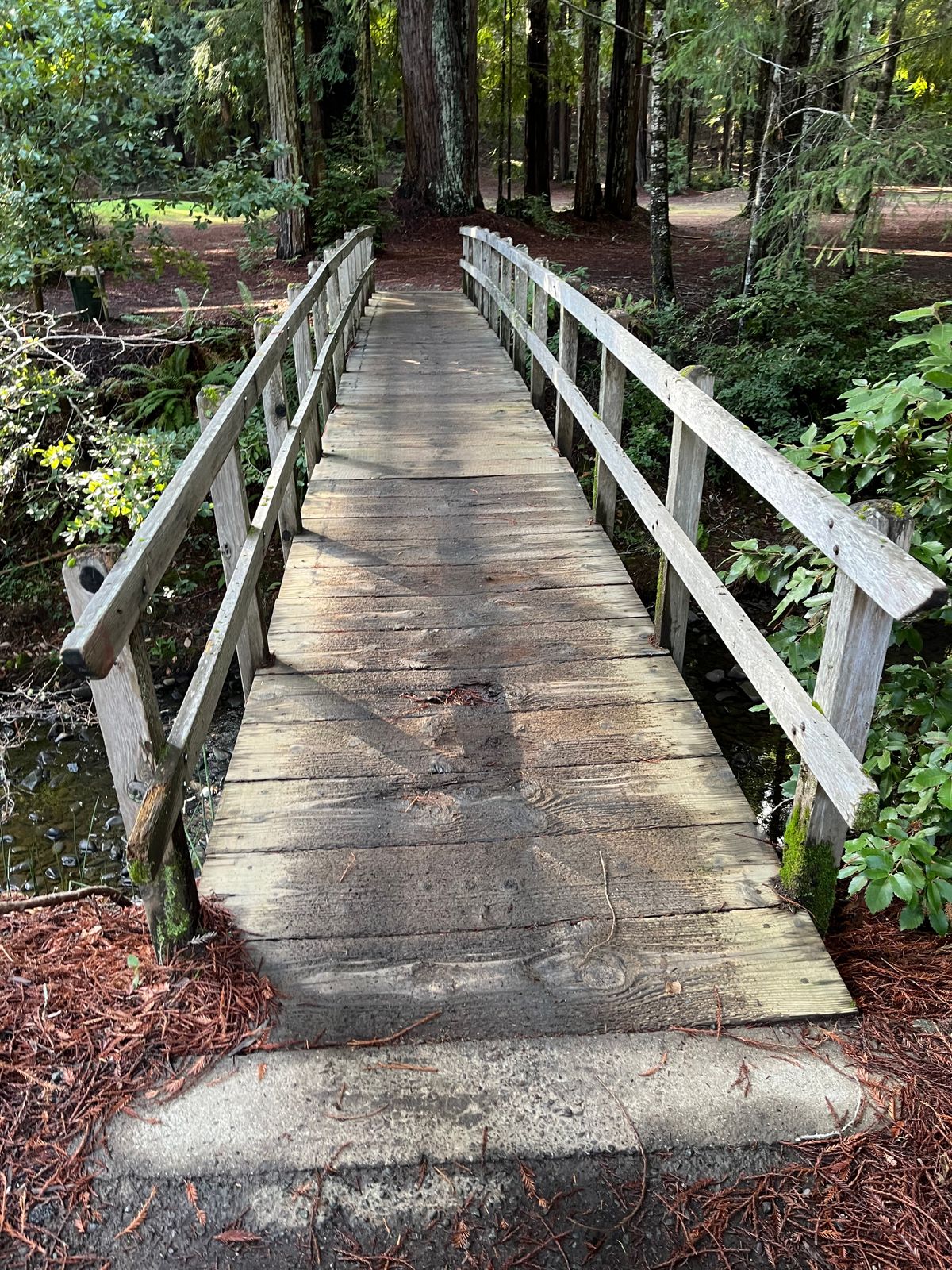 Great bridges everywhere