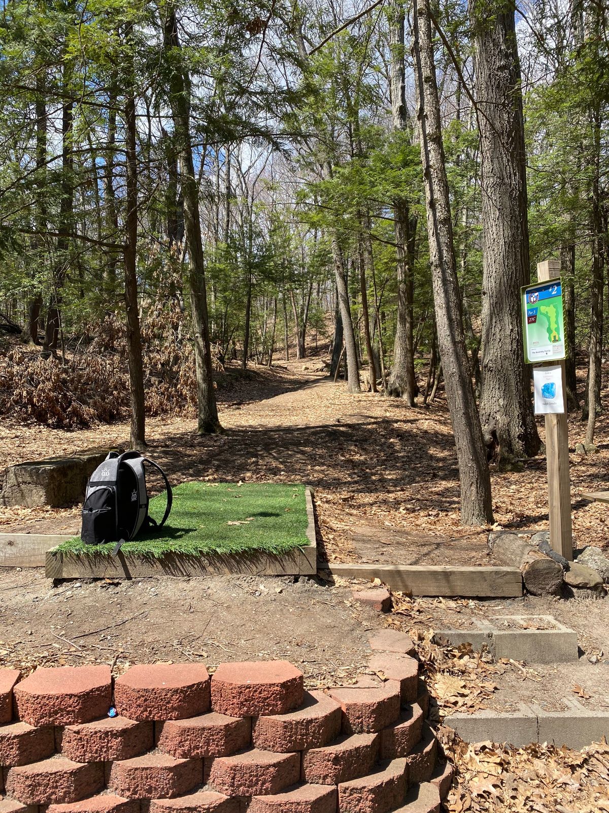 Hole 2 Tee