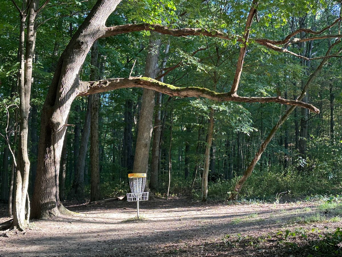 Hole 13 Basket
