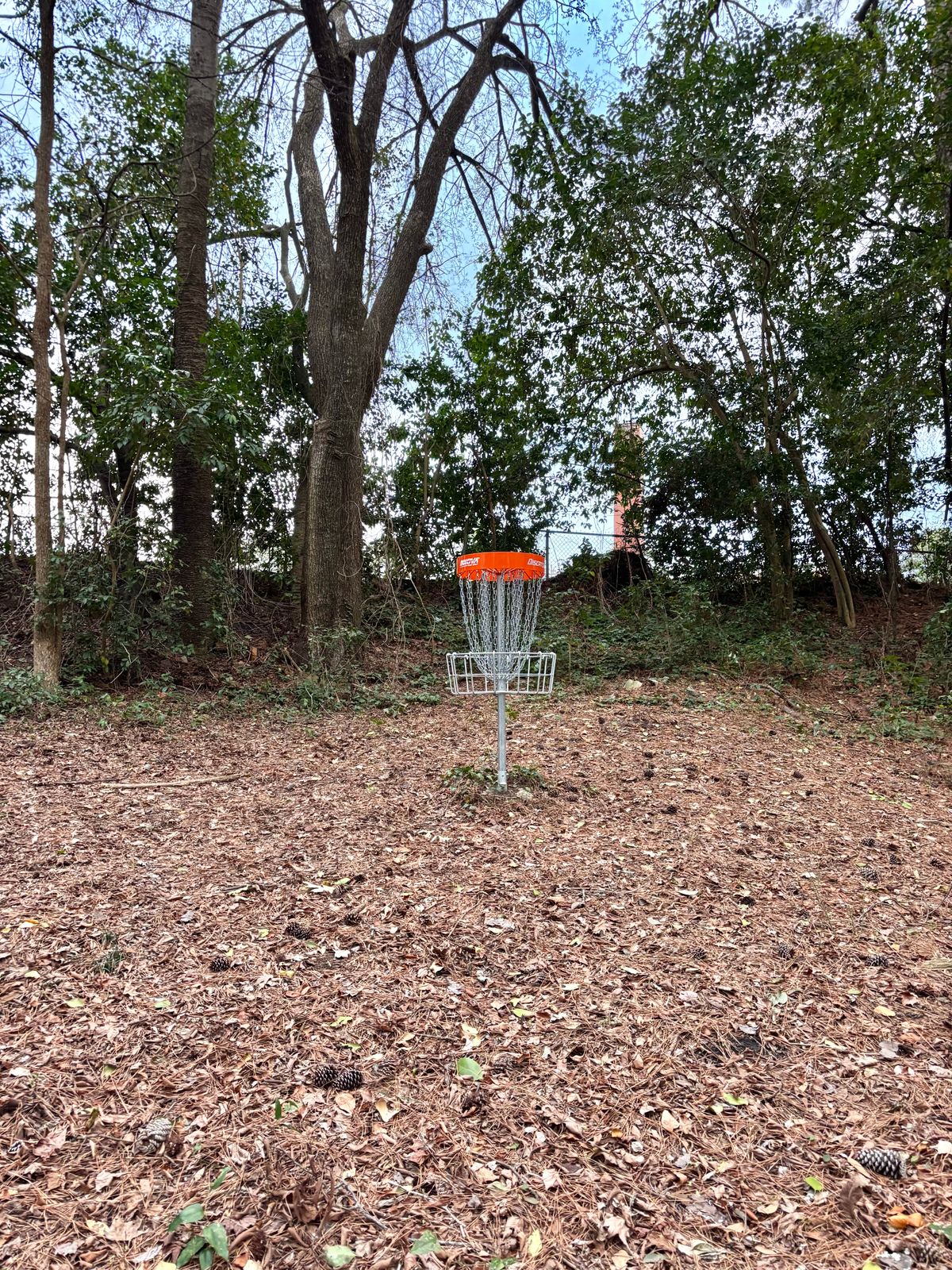 Hole 6 Basket