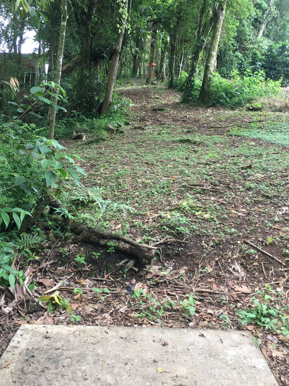 Hole 8 Short Tee