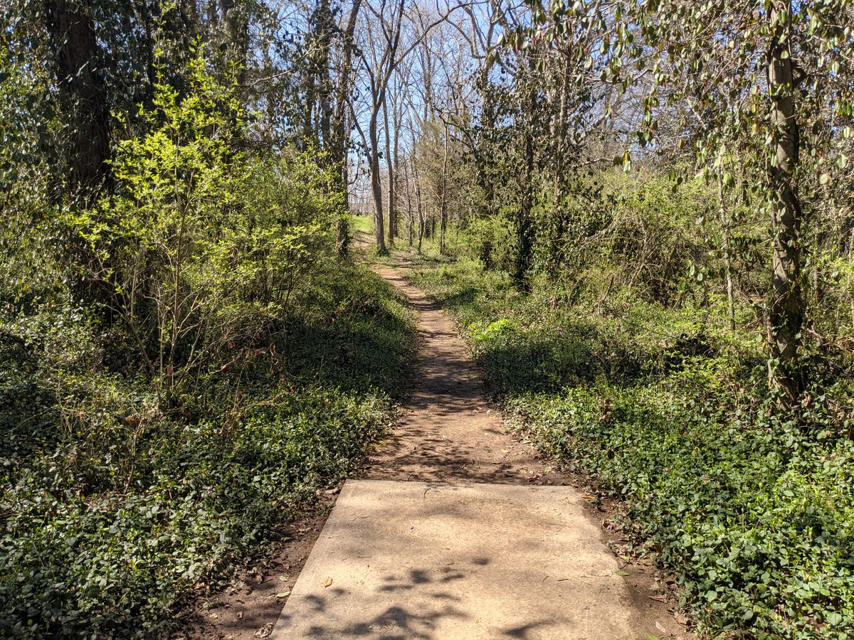 Thick trees run the right side of Hole 16.  Just past the halfway point of the fairway a large tree splits the fairway forcing players to choose a side.  A tight green with several guardians complete the challenge to this hole. 
