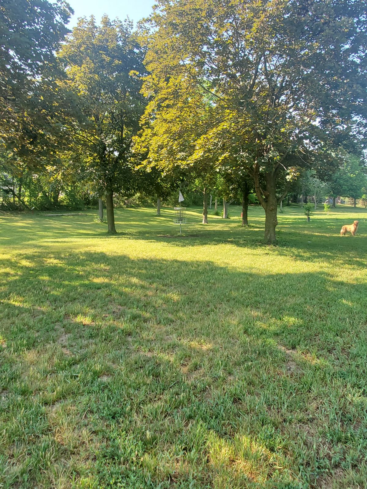 Hole 8