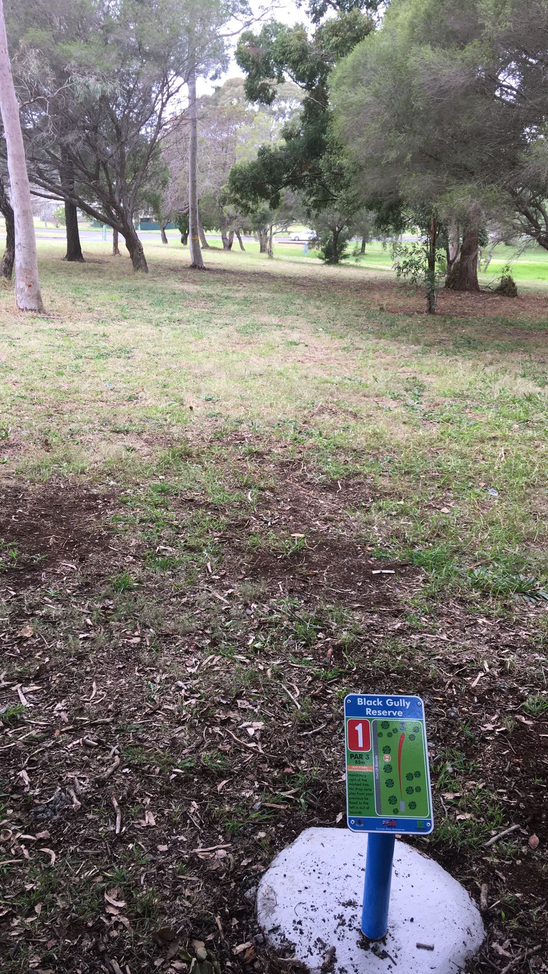 Hole 1 tee pad to basket