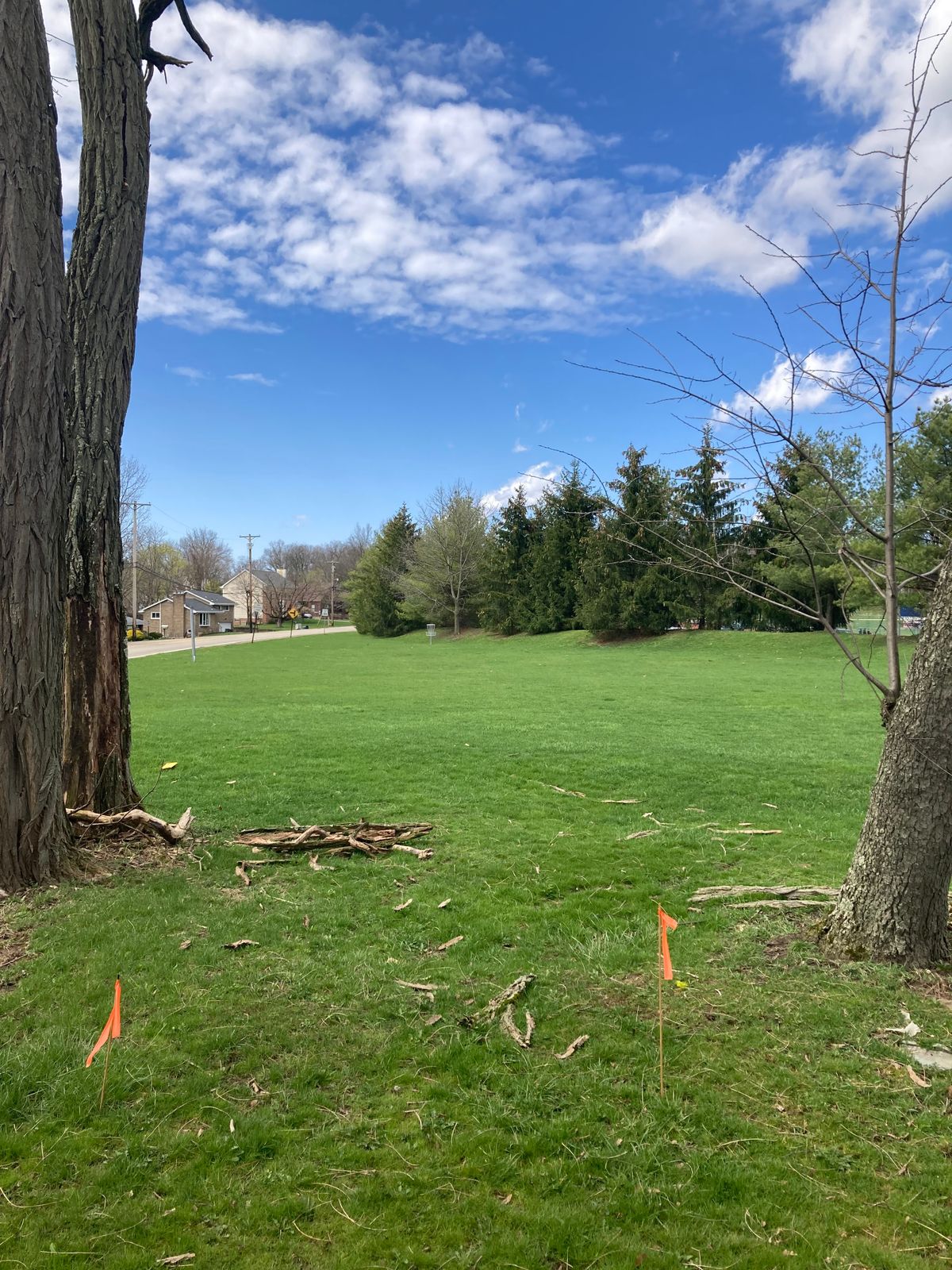 Enjoy This Short Par 3 Shooting Between Some Trees.