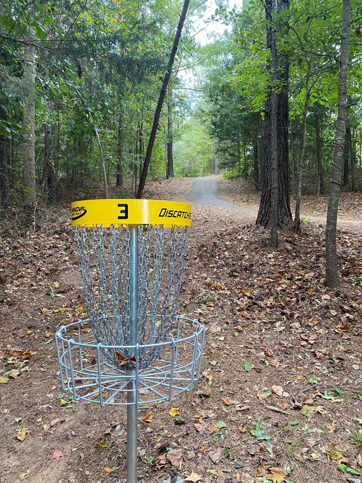 Hole 3 Basket