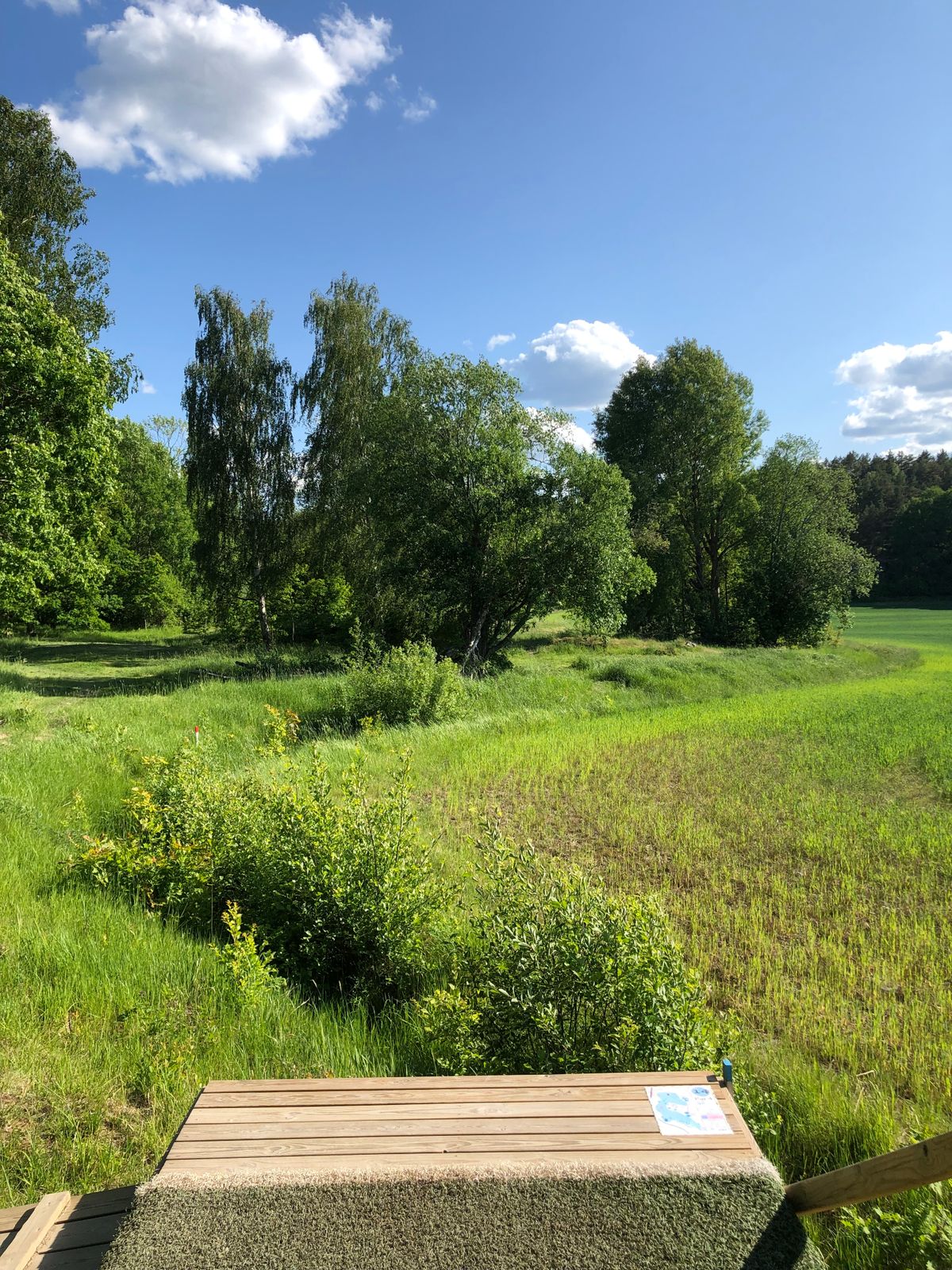 14. Blå
