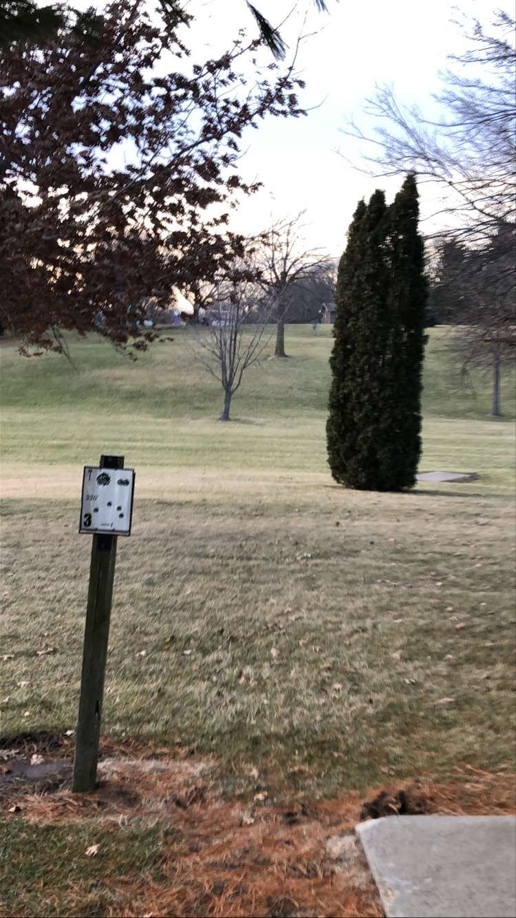 3 tee