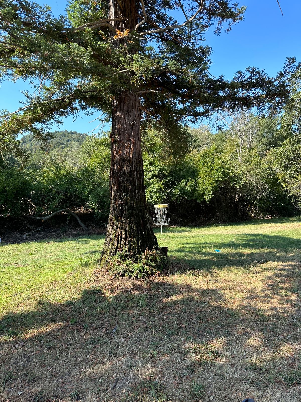 Hole 8