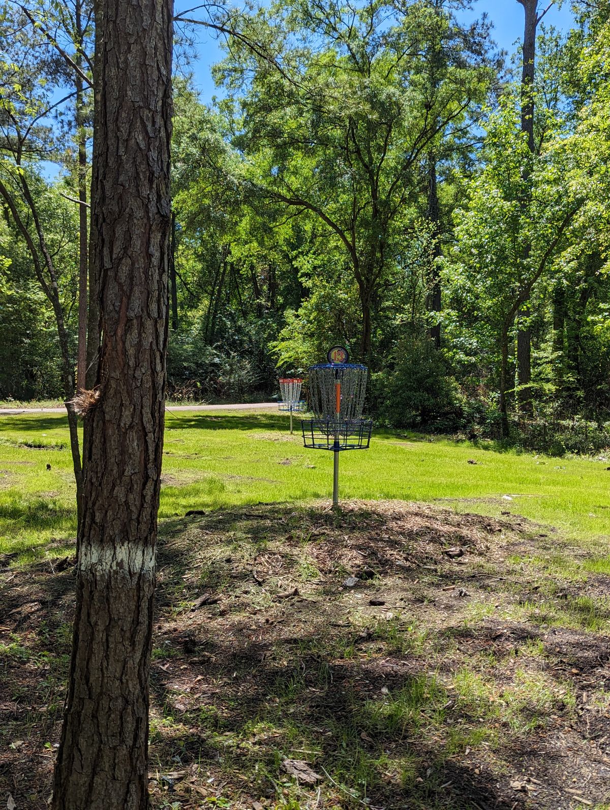 Hole 13 A and Veteran Pin Locations