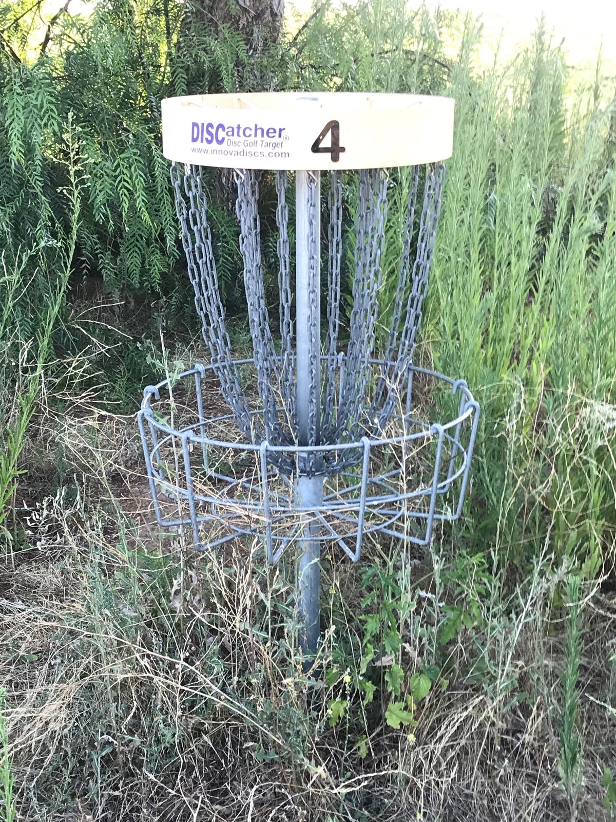 Poorly maintained landscaping around basket