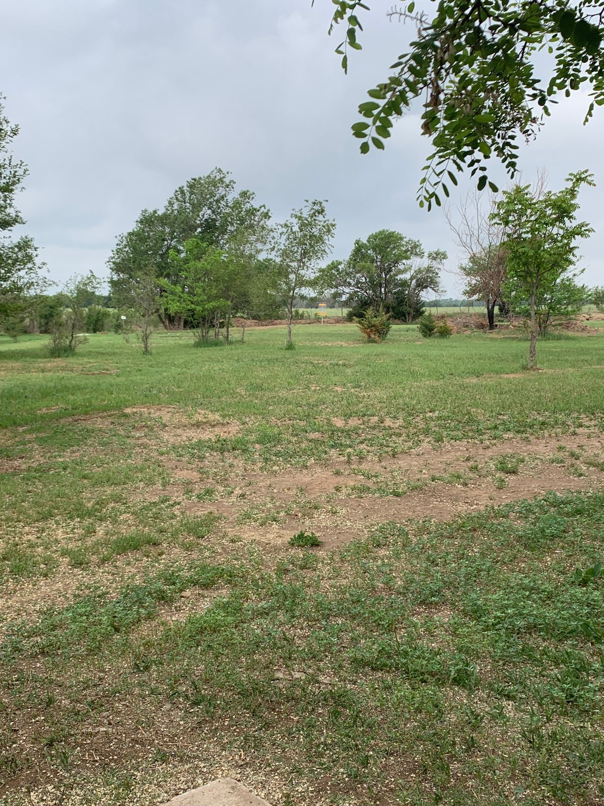 Hole 5