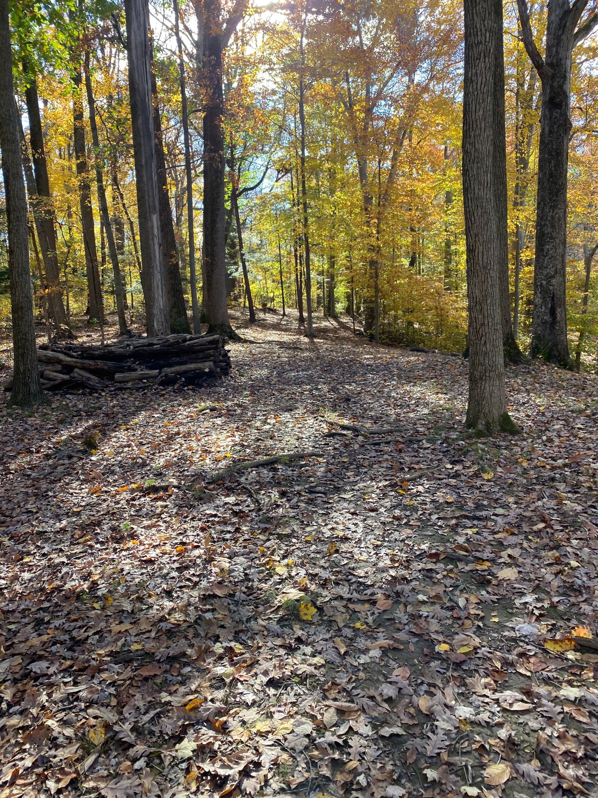 Hole 4 East