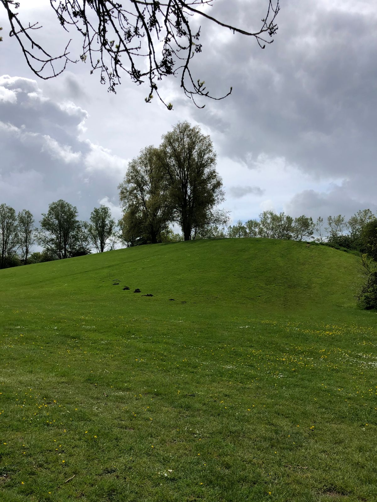 Hole 9. Aiming for the smaller tree slightly to the right of the main tree you can see.