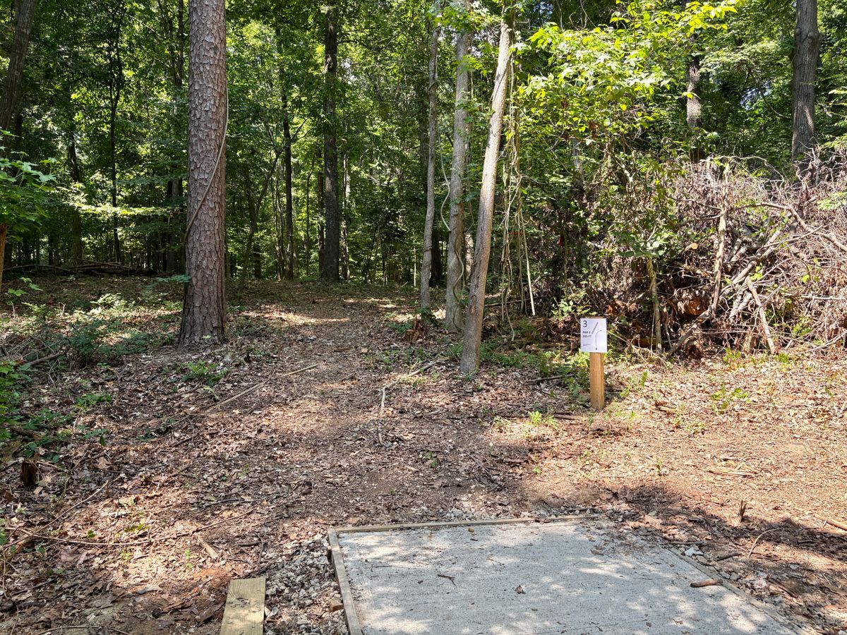 Hole 3 tee