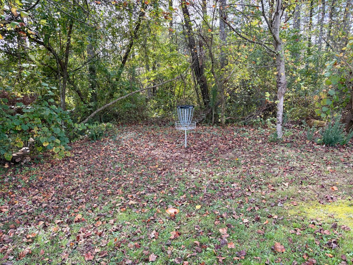 Hole 6 approach