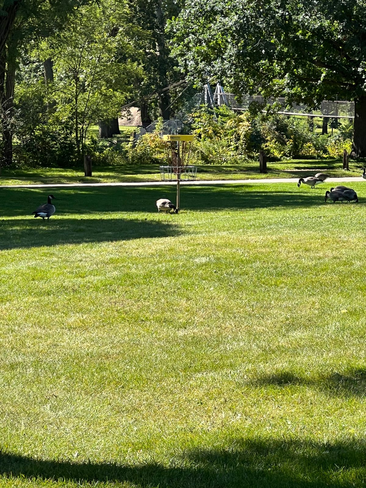 Watch out for fowl hazards on hole 3.