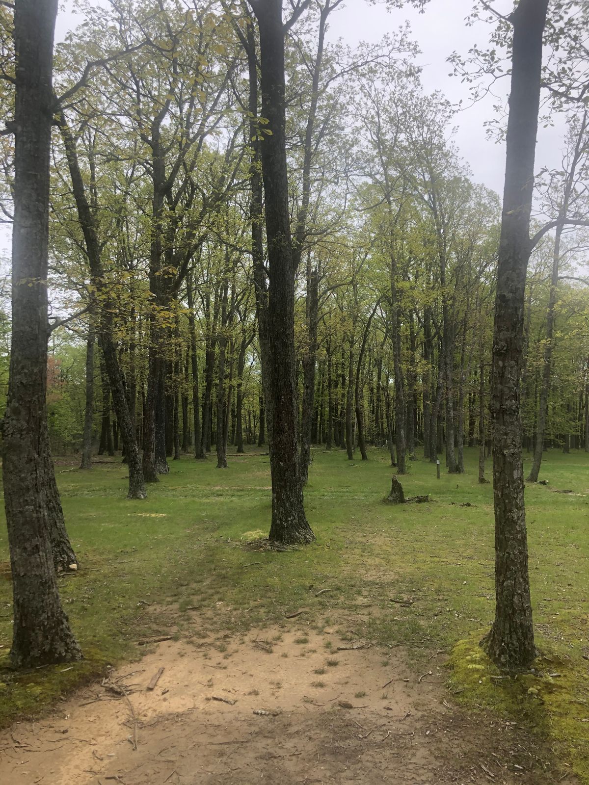 Hole 7
