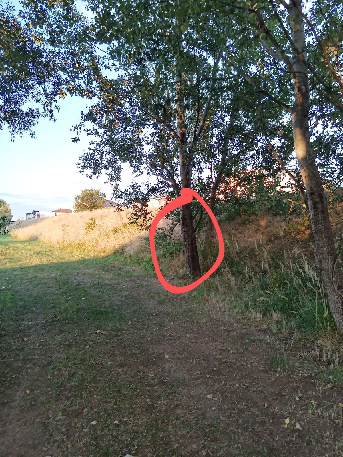 Target Hole 1