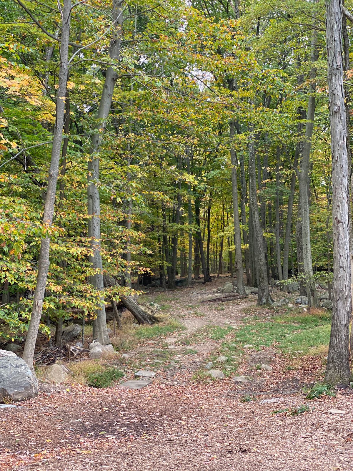 Hole 1