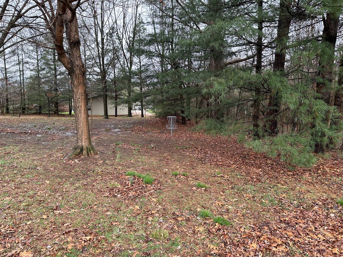 Hole 11 basket from halfway down the fairway.