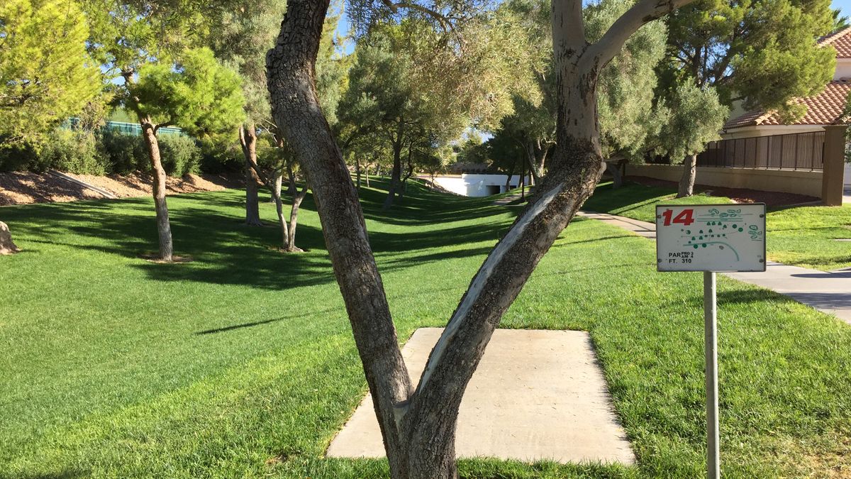 Hole 14