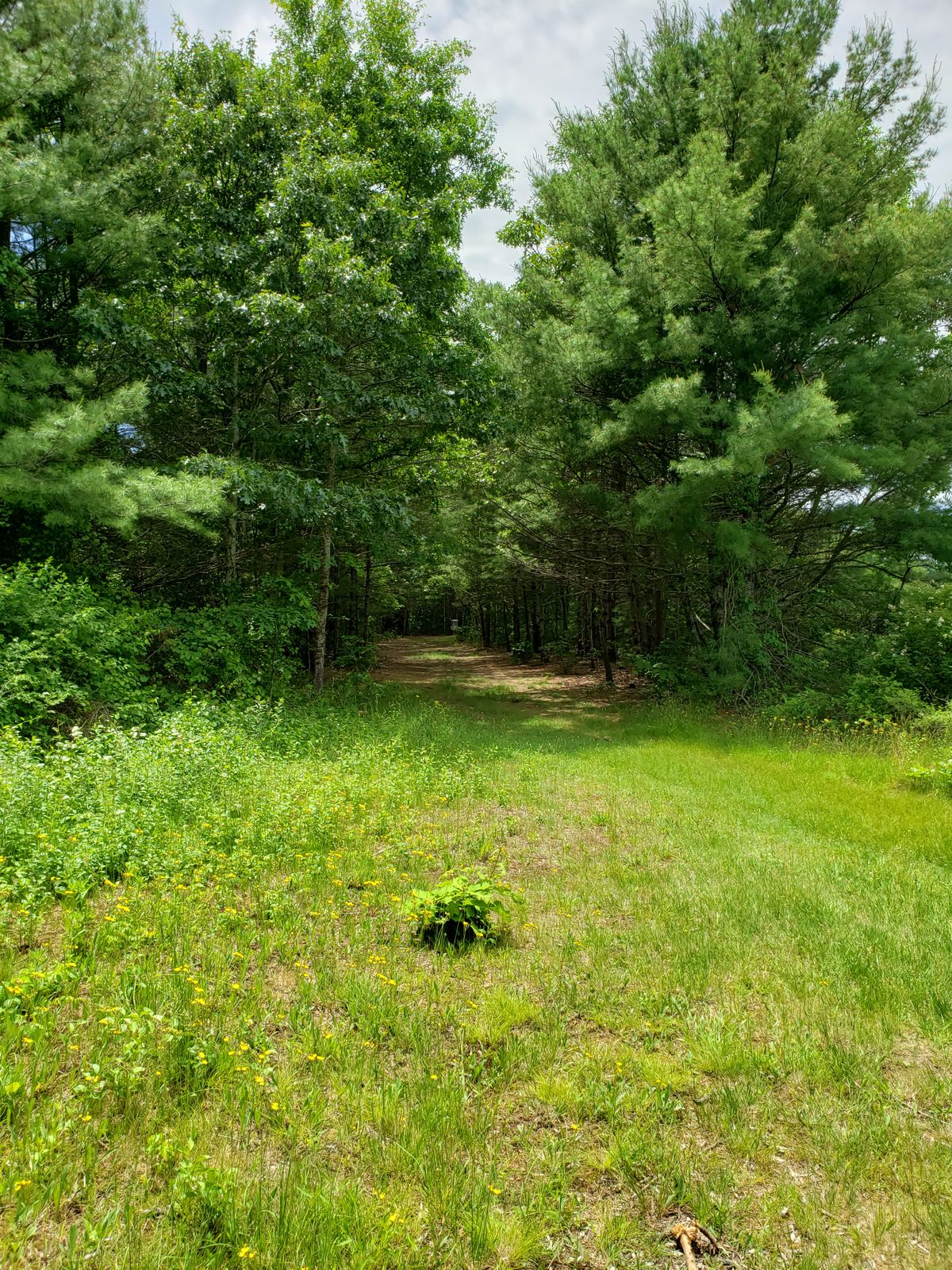 Hole 6
