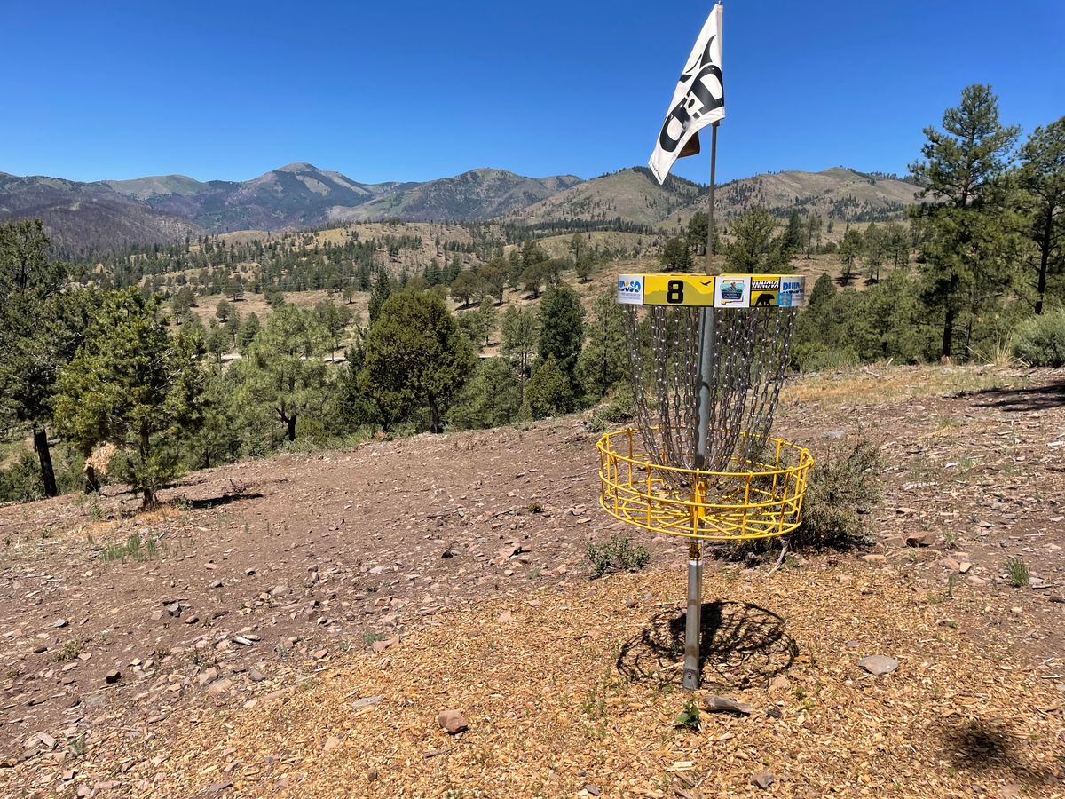 Hole 8s basket during summer