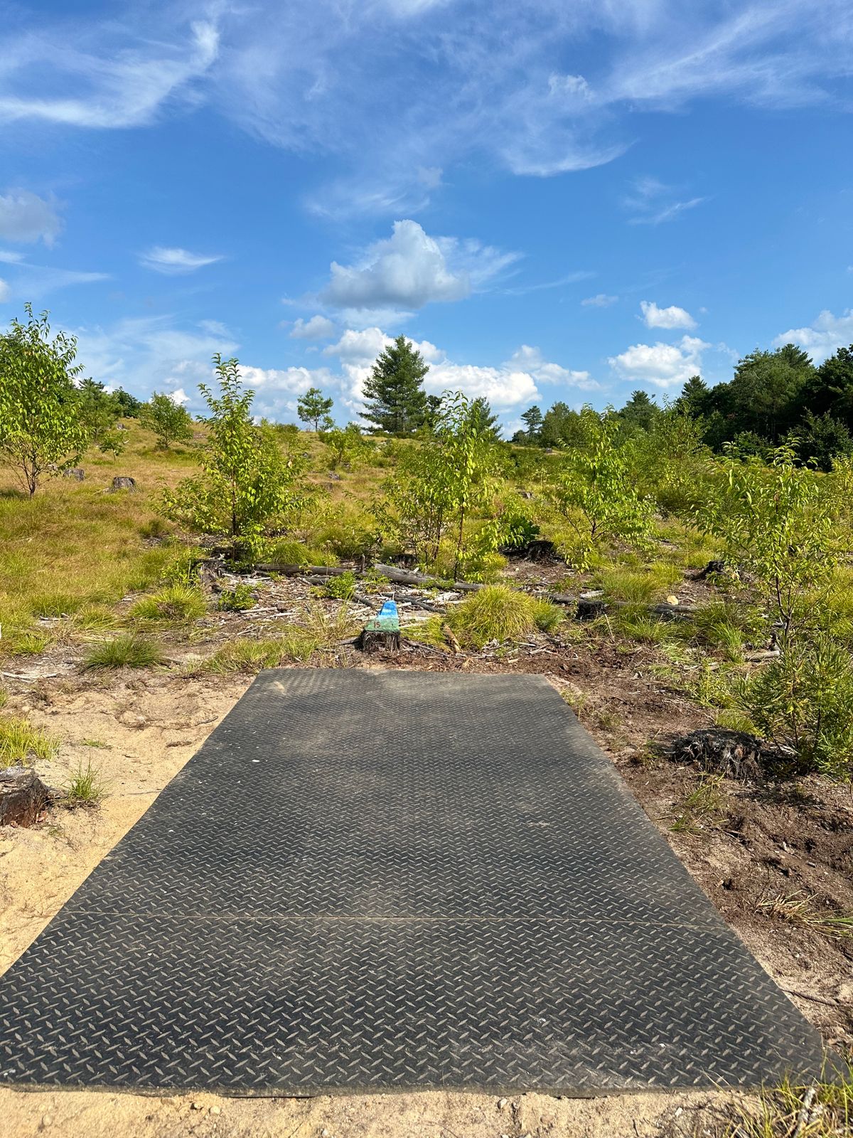 Hole 15 White Tee/Drop Zone