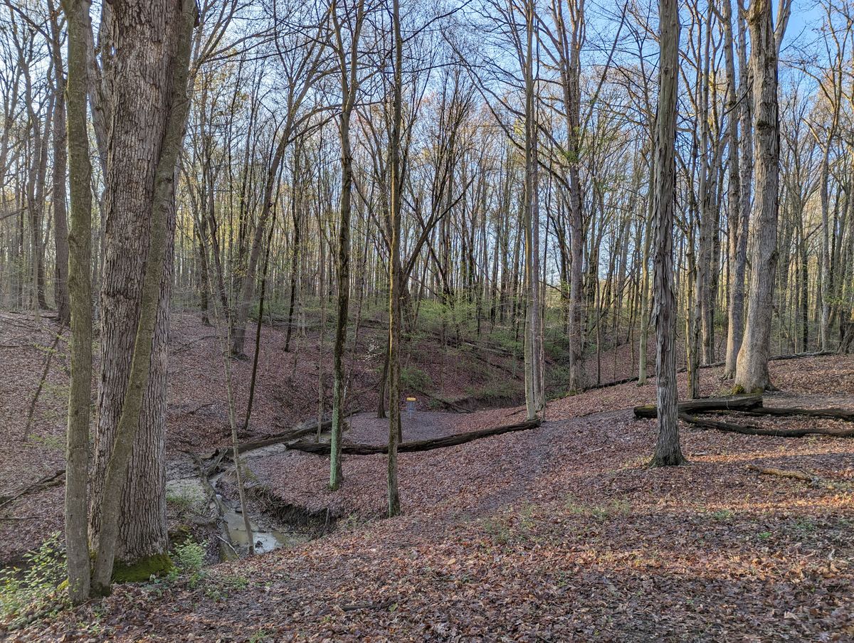 Hole 14 Pin