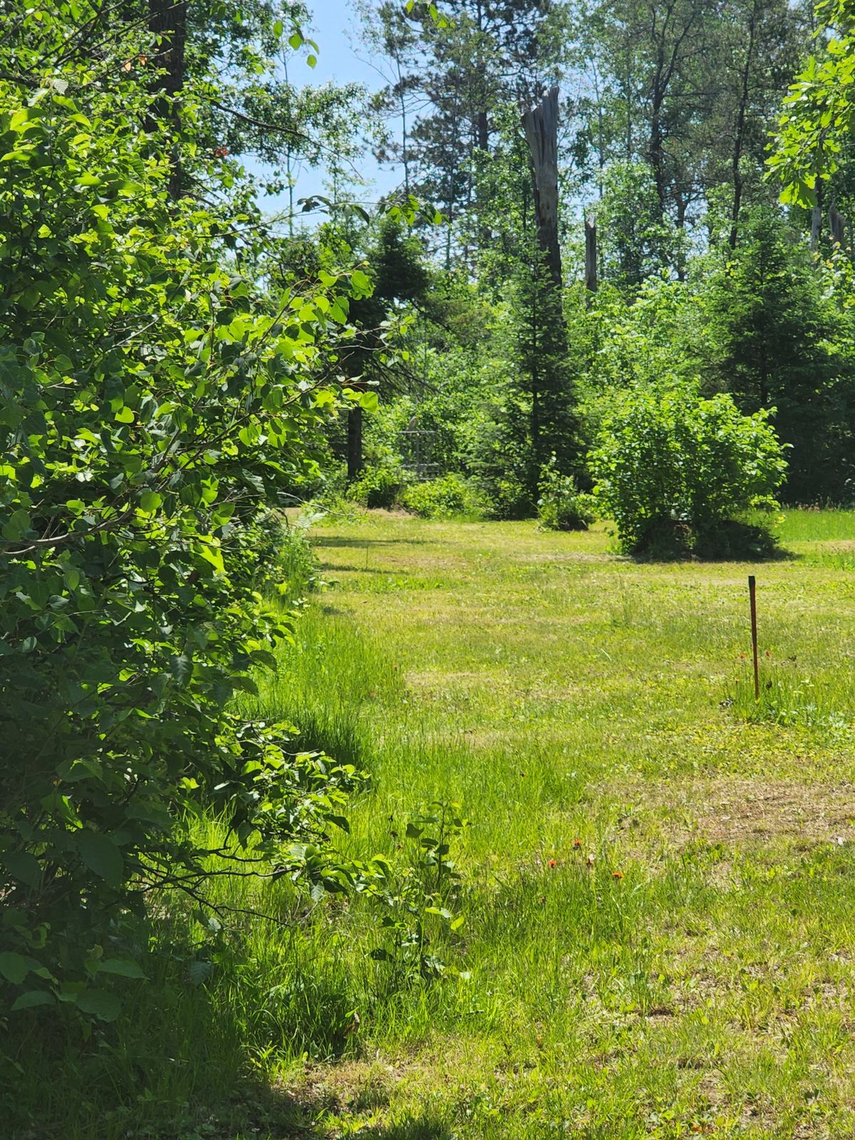 Hole 10 Close-Up