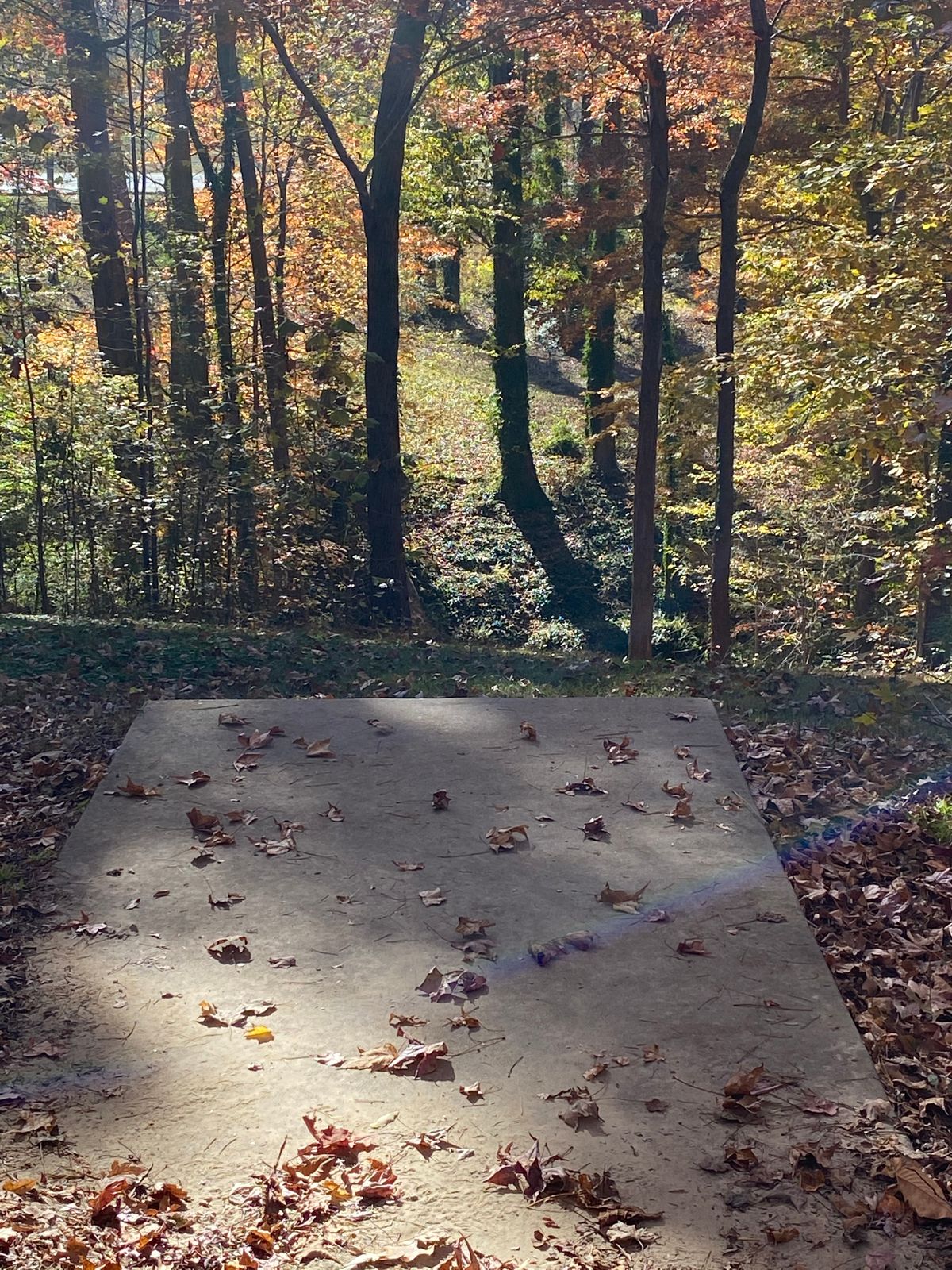Hole 15