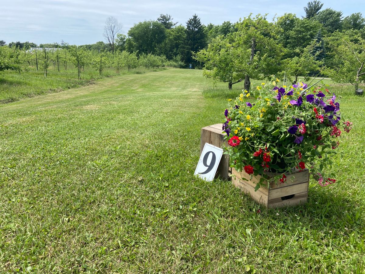 Hole 9