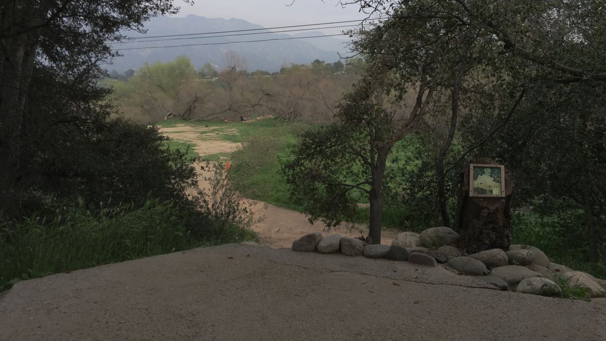 Hole 5