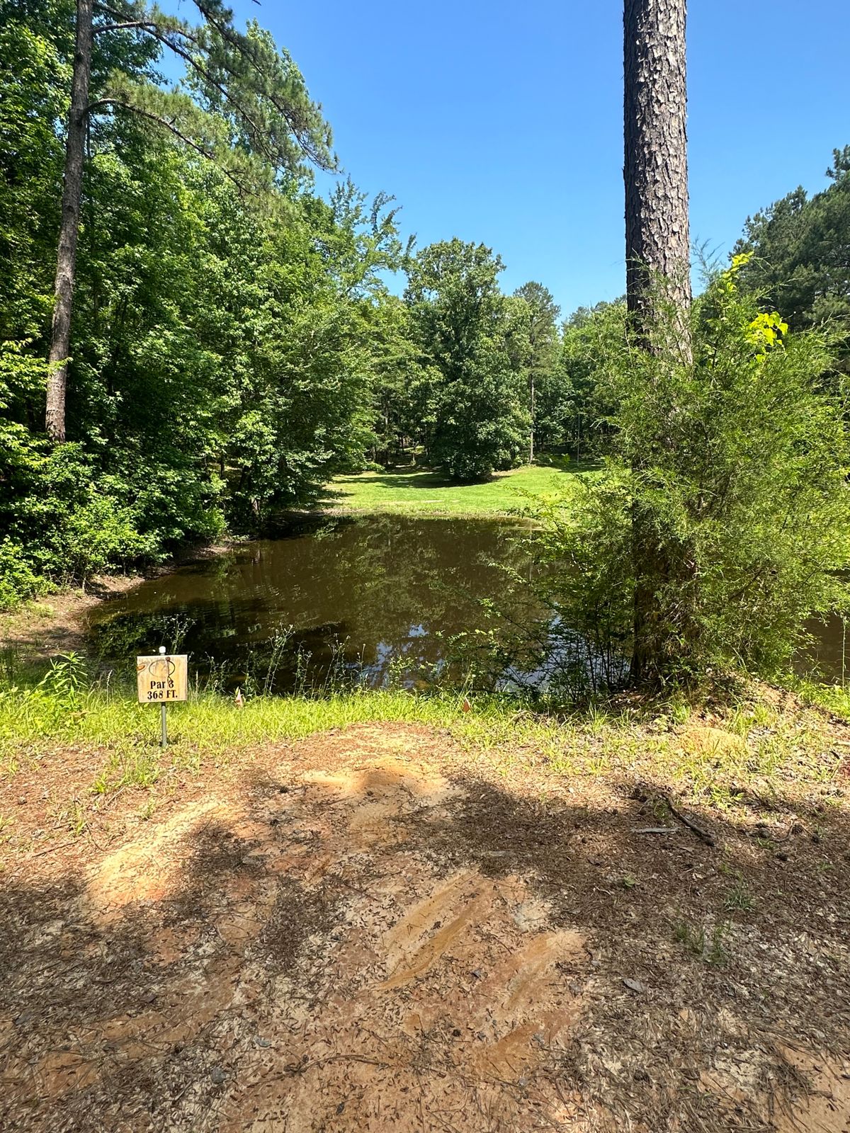 Hole 14 tees